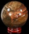 Colorful Petrified Wood Sphere #49745-1
